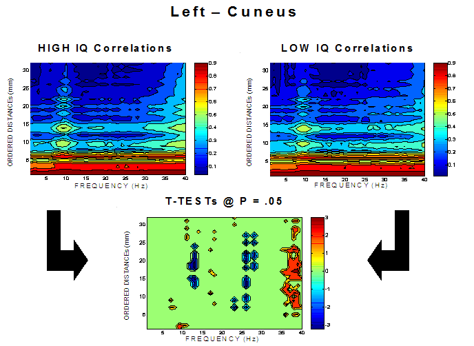 Neuroguide Software